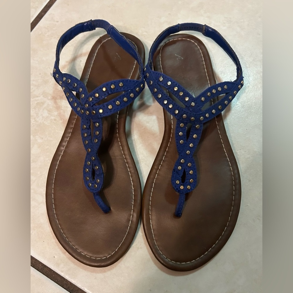 American Eagle Outfitters Navy and Brown Sandals